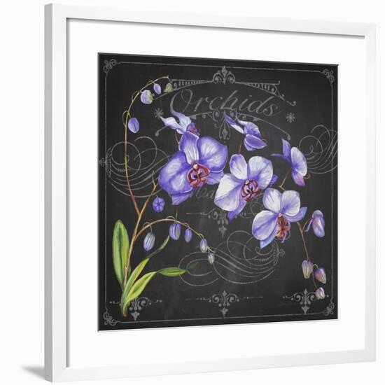 JP3889-Orchids-Jean Plout-Framed Giclee Print