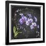 JP3889-Orchids-Jean Plout-Framed Giclee Print