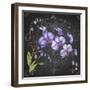 JP3889-Orchids-Jean Plout-Framed Giclee Print