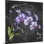 JP3889-Orchids-Jean Plout-Mounted Giclee Print