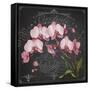 JP3890-Orchids-Jean Plout-Framed Stretched Canvas