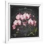 JP3890-Orchids-Jean Plout-Framed Giclee Print