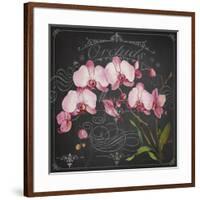 JP3890-Orchids-Jean Plout-Framed Giclee Print