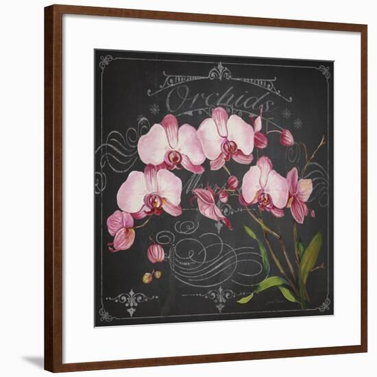 JP3890-Orchids-Jean Plout-Framed Giclee Print