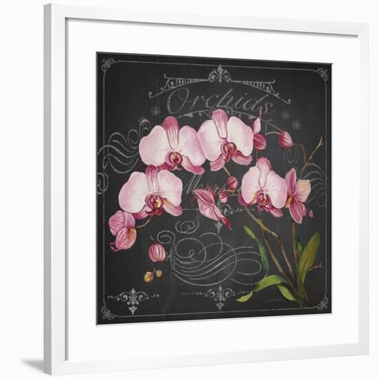 JP3890-Orchids-Jean Plout-Framed Giclee Print