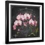 JP3890-Orchids-Jean Plout-Framed Giclee Print