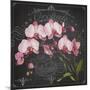 JP3890-Orchids-Jean Plout-Mounted Giclee Print