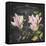 JP3891-Magnolias-Jean Plout-Framed Stretched Canvas