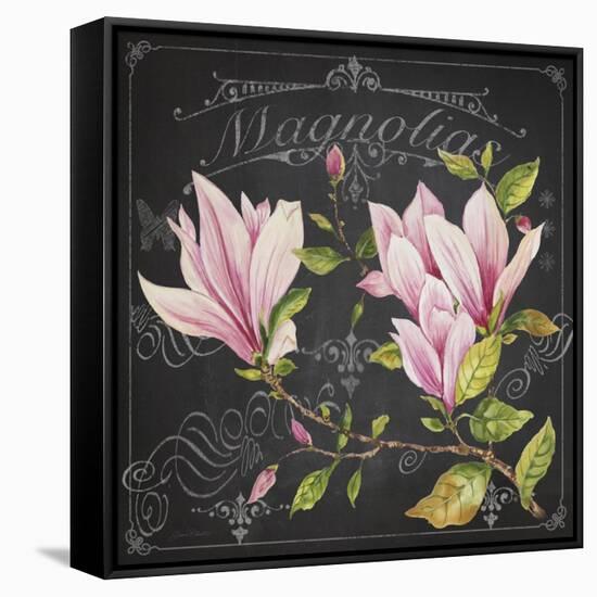 JP3891-Magnolias-Jean Plout-Framed Stretched Canvas