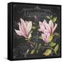 JP3891-Magnolias-Jean Plout-Framed Stretched Canvas