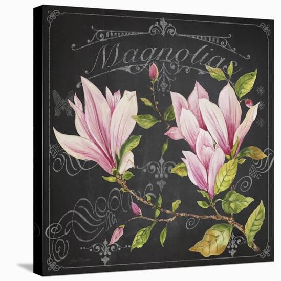 JP3891-Magnolias-Jean Plout-Stretched Canvas