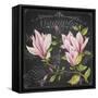 JP3891-Magnolias-Jean Plout-Framed Stretched Canvas