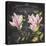 JP3891-Magnolias-Jean Plout-Stretched Canvas