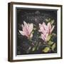 JP3891-Magnolias-Jean Plout-Framed Giclee Print