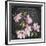 JP3892-Magnolias-Jean Plout-Framed Giclee Print