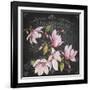 JP3892-Magnolias-Jean Plout-Framed Giclee Print