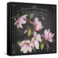 JP3892-Magnolias-Jean Plout-Framed Stretched Canvas
