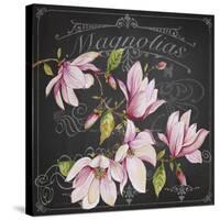 JP3892-Magnolias-Jean Plout-Stretched Canvas