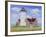 JP3902-Summer Lighthouse-Jean Plout-Framed Giclee Print