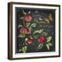 JP3913-Apples-Jean Plout-Framed Giclee Print