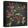 JP3913-Apples-Jean Plout-Framed Stretched Canvas