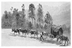 The Sugar Industry, Richmond River, New South Wales, Australia, 1886-JR Ashton-Framed Giclee Print