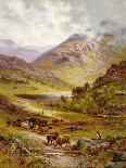 Longhorn Cattle in a Mountainous Landscape, 1892-Alfred, Jr. Glendening-Giclee Print