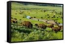 Canvas Black