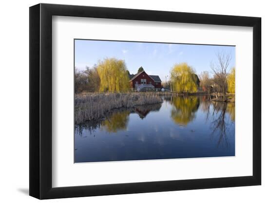 Premium Photographic Print, , large