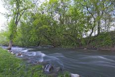 Minnehaha River Banks-jrferrermn-Photographic Print