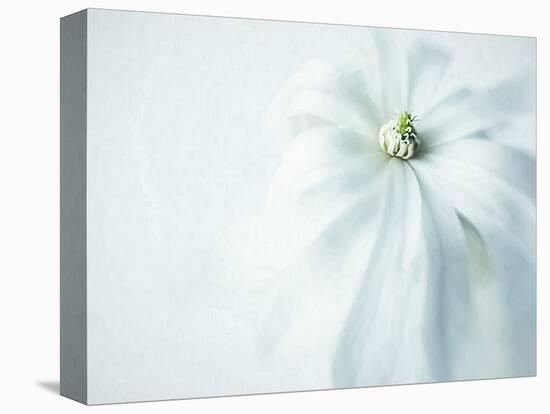 JS_243_The Simplicity Of It All-Janet Slater-Stretched Canvas