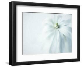 JS_243_The Simplicity Of It All-Janet Slater-Framed Photographic Print