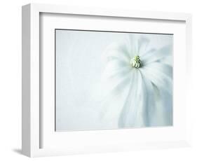 JS_243_The Simplicity Of It All-Janet Slater-Framed Photographic Print