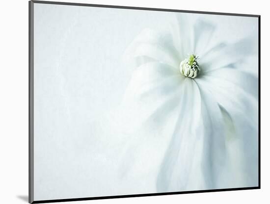 JS_243_The Simplicity Of It All-Janet Slater-Mounted Photographic Print