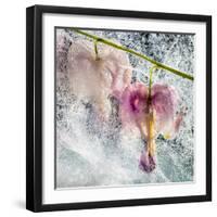 JS_260_Frozen In Time-Janet Slater-Framed Photographic Print