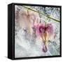 JS_260_Frozen In Time-Janet Slater-Framed Stretched Canvas