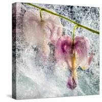 JS_260_Frozen In Time-Janet Slater-Stretched Canvas