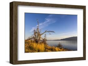 JS_262_Still Reaching For The Sky-Janet Slater-Framed Photographic Print