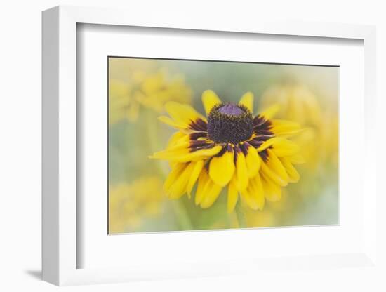 JS_272_Walkin' On Sunshine-Janet Slater-Framed Photographic Print