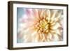 JS_274_Dahlia 1-Janet Slater-Framed Photographic Print