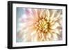 JS_274_Dahlia 1-Janet Slater-Framed Photographic Print