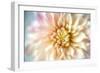 JS_274_Dahlia 1-Janet Slater-Framed Photographic Print