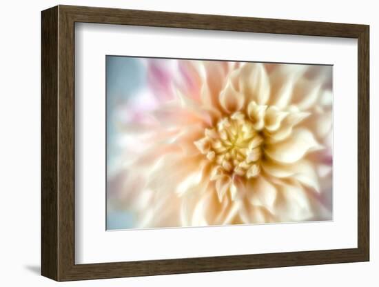 JS_274_Dahlia 1-Janet Slater-Framed Photographic Print