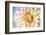 JS_274_Dahlia 1-Janet Slater-Framed Photographic Print