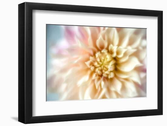 JS_274_Dahlia 1-Janet Slater-Framed Photographic Print