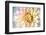 JS_274_Dahlia 1-Janet Slater-Framed Photographic Print