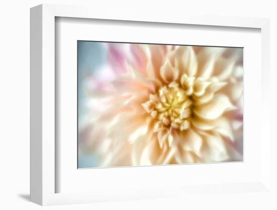 JS_274_Dahlia 1-Janet Slater-Framed Photographic Print