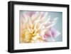 JS_275_Dahlia 2-Janet Slater-Framed Photographic Print