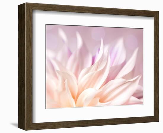 JS_277_Dahlia 4-Janet Slater-Framed Photographic Print