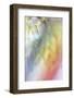 JS_280_Dahlia 7-Janet Slater-Framed Photographic Print